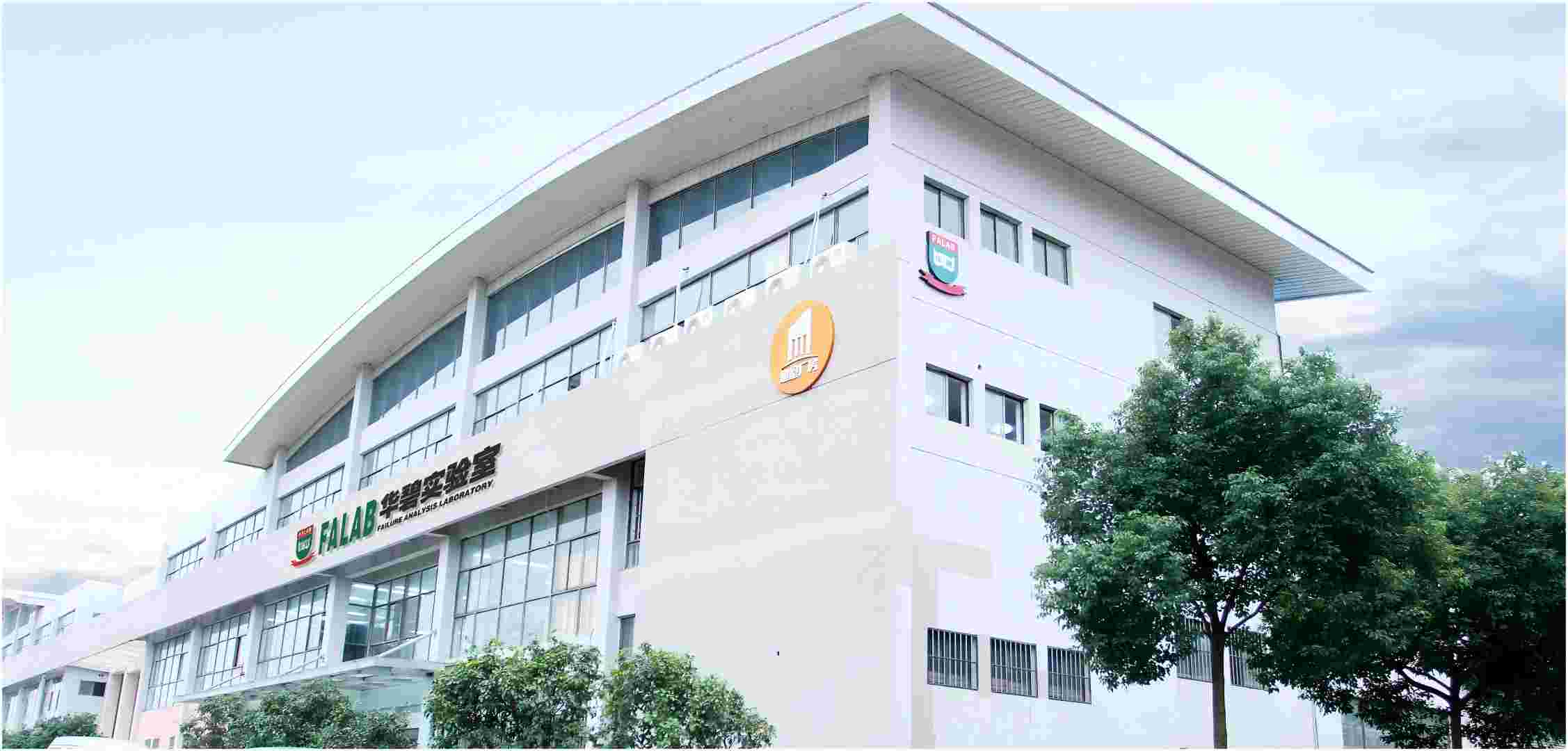 1733193271480126.jpg 6.jpg